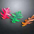 Colorful Red Green And Orange Maple Leaves On Black Background