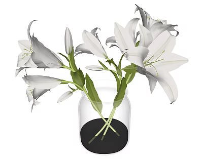 Transparent Glass Vase With White Lilies Green Stems And Fresh Leaves 3d model
