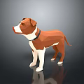 Low Poly Brown And White Dog With Collar On Gray Background And Reflection 3d model