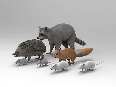 Animal Reptile Smokie Squirrel Hedgehog Mouse Fur Animal 3d model