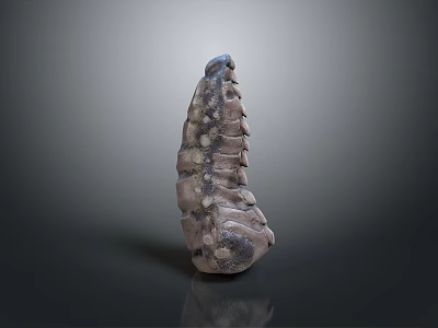 Detailed Anatomical Spinal Vertebrae Medical Device Model for Surgical Training and Education 3d model