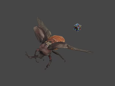 3D Render Of Large Horned Beetle With Spread Wings And Colorful Cube 3d model