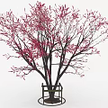 Ornamental Tree with Red Leaves and Dark Trunk on Metal Stand