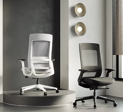 Modern Mesh Office Chairs In White And Black With Minimalist Office Interior Design 3d model