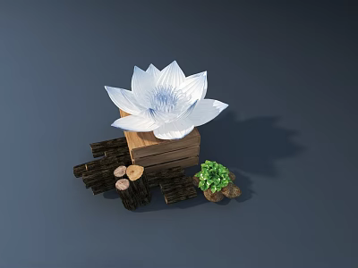 Wood And Stone Decorative Arrangement With Wooden Box White Lotus Sculpture And Small Green Plant 3d model