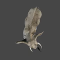 Realistic African Elephant With Large Ears Ivory Tusks And Rough Skin