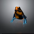 Vibrant Orange Black and Blue Patterned Frog with Colorful Body and Blue Legs