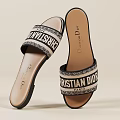 Christian Dior Flat Sandals With Logo Strap Comfortable Casual Style For Women Everyday Wear