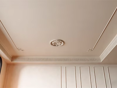 Elegant Ceiling Design With Circular Decorative Center And Ornate Molding Details 3d model