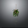 Lush Green Hanging Plant In Wicker Basket With Wooden Hanger And Trailing Leaves