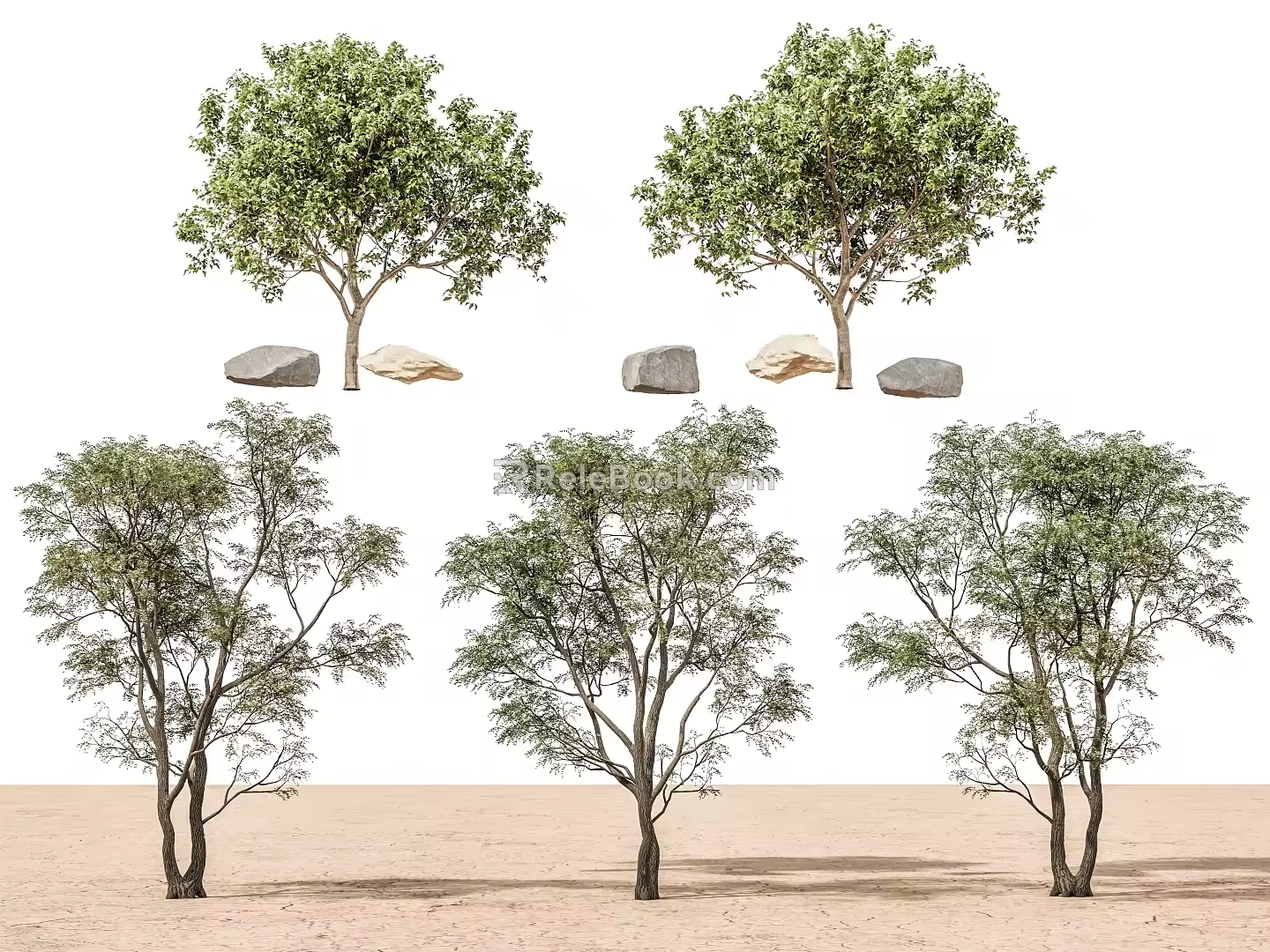 Trees Landscape Trees Street Trees Maple Trees Spring and Autumn Landscape Trees Courtyard Trees Pomegranate Trees Apple Trees Orange Trees Peach Trees 3d model