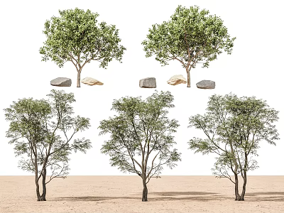 Trees Landscape Trees Street Trees Maple Trees Spring and Autumn Landscape Trees Courtyard Trees Pomegranate Trees Apple Trees Orange Trees Peach Trees 3d model