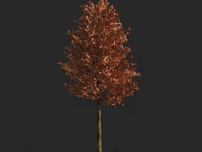 Arbor With Copper Colored Leaves And Tall Trunk Against Dark Background 3d model
