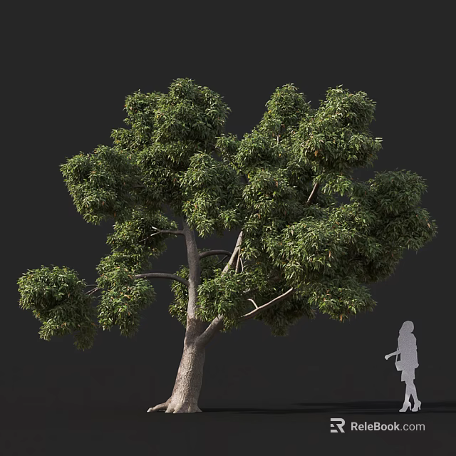 Tall Arbor With Lush Green Foliage And Thick Trunk Next To Human Figure 3d model 
