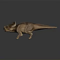 Detailed Triceratops Dinosaur Model With Open Mouth And Realistic Textured Skin