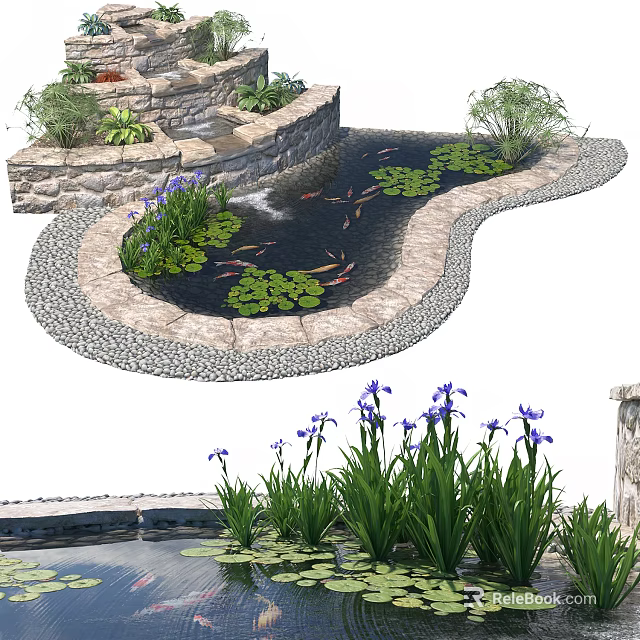 Natural Aquarium Pond With Koi Fish Water Lilies Iris Flowers And Stone Edges 3d model 