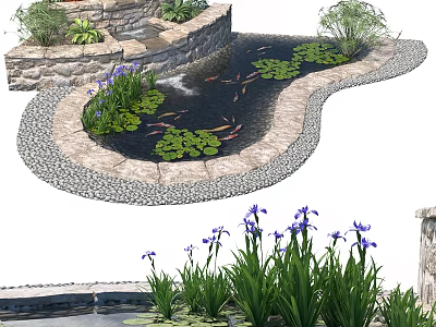 Natural Aquarium Pond With Koi Fish Water Lilies Iris Flowers And Stone Edges 3d model