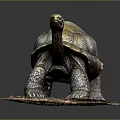 Turtle Cartoon Turtle Snapping Turtle Chickbill Turtle Reptile Cold Blooded Animal Reptile Class 3d model