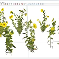 Fresh Yellow Flowering Plants With Green Stems Growing On White Background