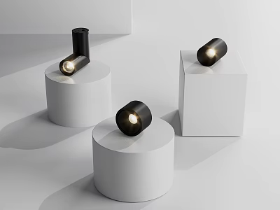 Modern Black Downlights and Spotlights on White Display Bases with Warm Lighting 3d model