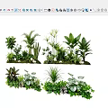 Elegant Plant Combinations For Indoor Decor With Tropical Greenery And Leafy Varieties