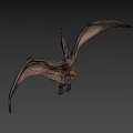 Detailed Pterosaur Model With Open Mouth Extended Wings And Realistic Texture