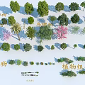 Various Arbor Types For Main Building Road And Garden Landscape Design 3d model
