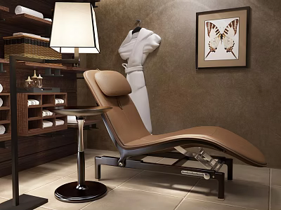 Comfortable Brown Lounge Chair with Side Table Floor Lamp Zebra Print Artwork and Hanging Robe 3d model