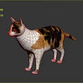 Calico Cat With White Black And Orange Fur Standing On Dark Background With Reflection