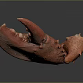 Appetizing Red Cooked Lobster Claw With Shiny Surface And Detailed Texture On Dark Background