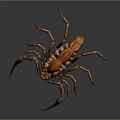 Close Up View Of Striped Scorpion With Curled Tail And Shiny Exoskeleton On Dark Background