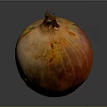 Fresh Ripe Onion With Reddish Orange Textured Skin And Stem On Dark Background