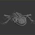 Scientific 3D Rendered Detailed Lizard Skeleton Anatomical Structure On Dark Background