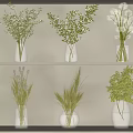 Various Glass Vases With Green Plants White Blooms And Dried Grasses On Shelves