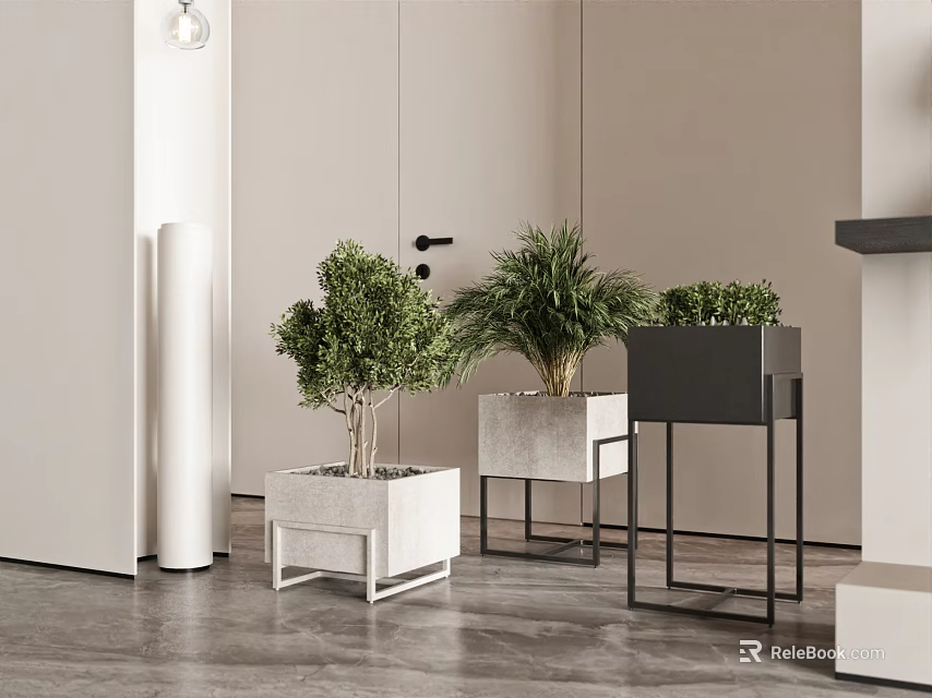 Potted Bonsai Plants On White And Black Square Stands In Modern Indoor Space 3d model 