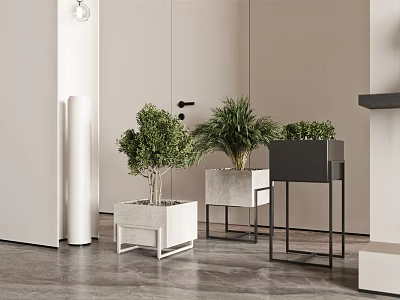 Potted Bonsai Plants On White And Black Square Stands In Modern Indoor Space 3d model