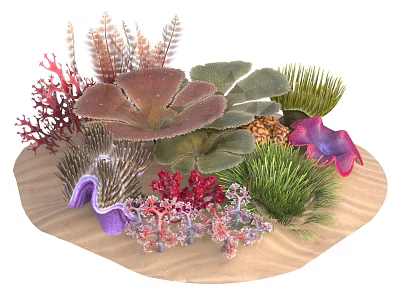 coral reef coral island seaweed seaweed seaweed staghorn coral fan coral 3d model