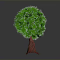 Lush Green Round Crown Tree with Distinctive Red Trunk on Neutral Gray Background