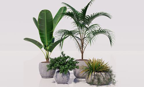 Modern Potted Plant Green Plant Ornaments Green Plant Potted Plant Ornaments Green Plant Furnishings 3d model