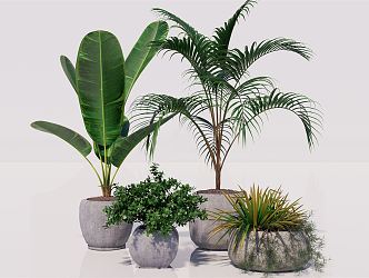 Modern Potted Plant Green Plant Ornaments Green Plant Potted Plant Ornaments Green Plant Furnishings 3d model