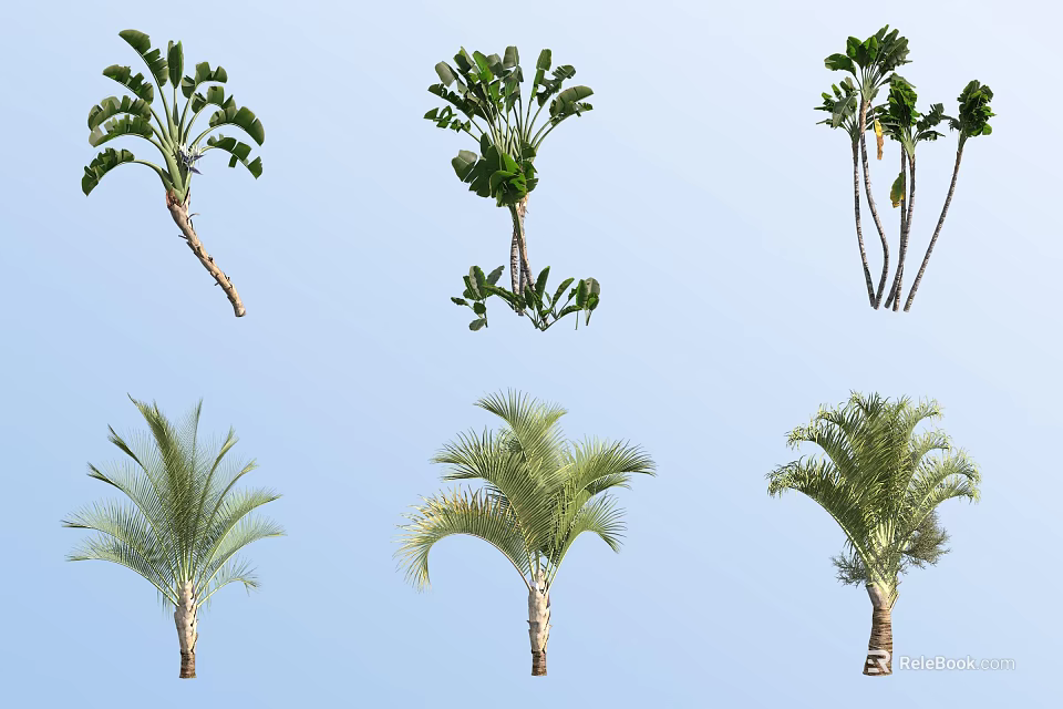 Diverse Arbor Trees with Varied Leaf Shapes and Trunk Structures Against Blue Sky 3d model