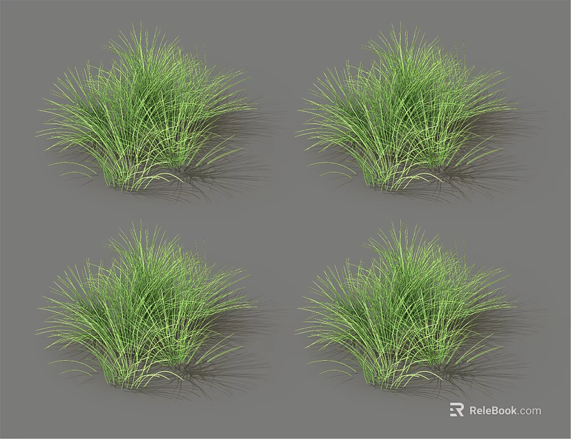 Four Lush Green Grass Clumps Isolated on Gray Background Render 3d model 