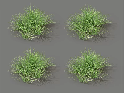 Four Lush Green Grass Clumps Isolated on Gray Background Render 3d model