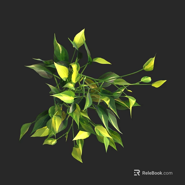 Vibrant Green and Yellow Leaf Plants with Lush Foliage on Dark Background 3d model 
