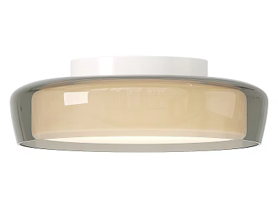 Modern Round Ceiling Light With Sleek Design And Transparent Shade 3d model