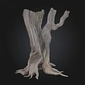 Arbor Tree Trunk Featuring Rough Wooden Texture Branched Limbs And Exposed Roots 3d model