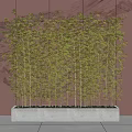 Bamboo Potted Plants in Rectangular White Concrete Planter against Brown Wall with Shadow Effect 3d model