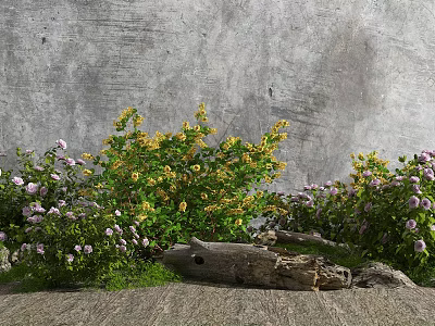 modern plants 3d model modern plants 3d model