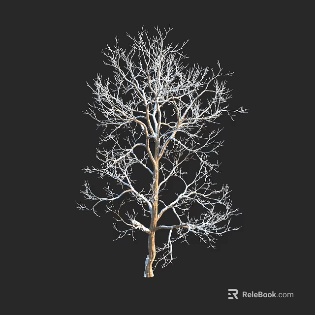 Tall Leafless Arbor Standing With Twisted Branches Against Black Background 3d model 