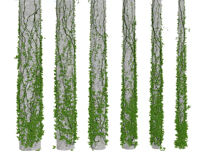 Lush Green Vines Climbing Gray Concrete Pillars in Outdoor Garden Space 3d model